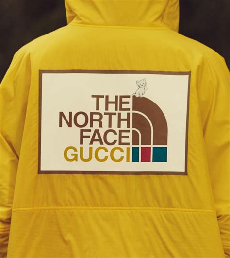 north face gucci kraantje pappie|gucci north face 2024.